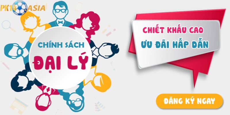 Giới thiệu thông tin cơ bản về Đại lý PK14