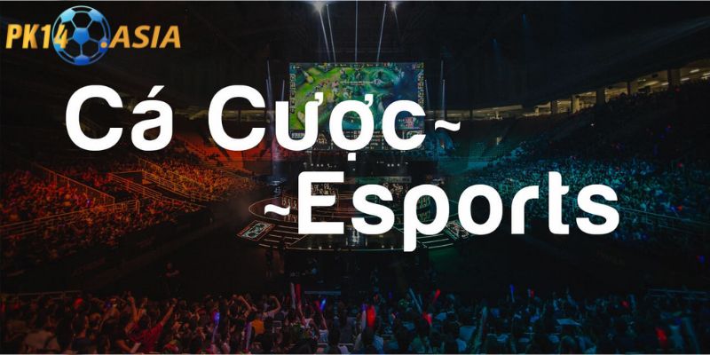 Cách cá cược Esport PK14 đem lại hiệu quả