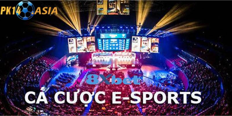 Tìm hiểu thông tin Esport PK14 là gì?