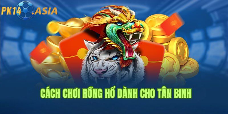 Tìm hiểu Rồng Hổ PK14 là gì?