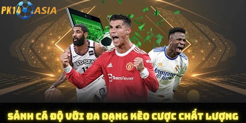 Tỷ lệ ăn thưởng Thể thao PK14 hấp dẫn