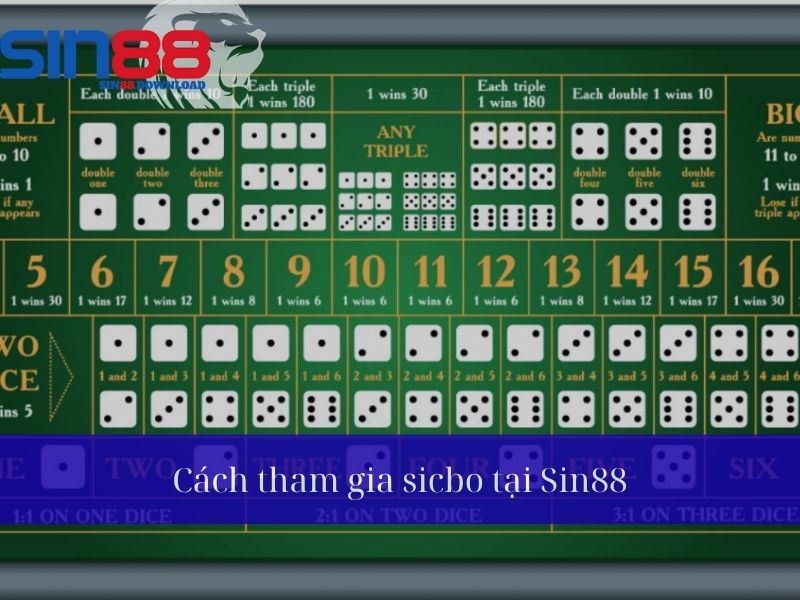 Cách tham gia Sicbo tại Sin88