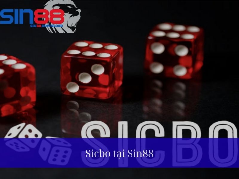 Sicbo tại Sin88 – Hướng Dẫn Chơi Và Bí Quyết Thắng Lớn